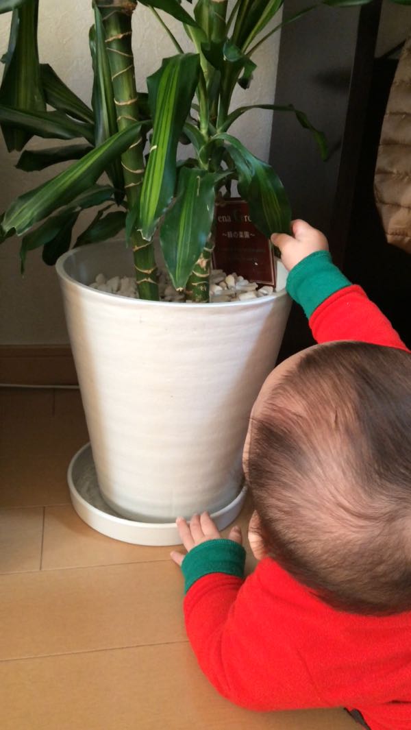 rblog-20150204235828-00.jpg