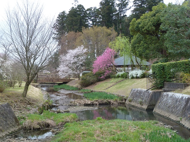 2015桜山 006.JPG