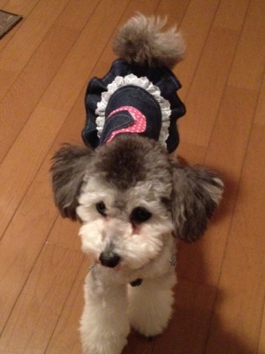 20121030cJPG.JPG