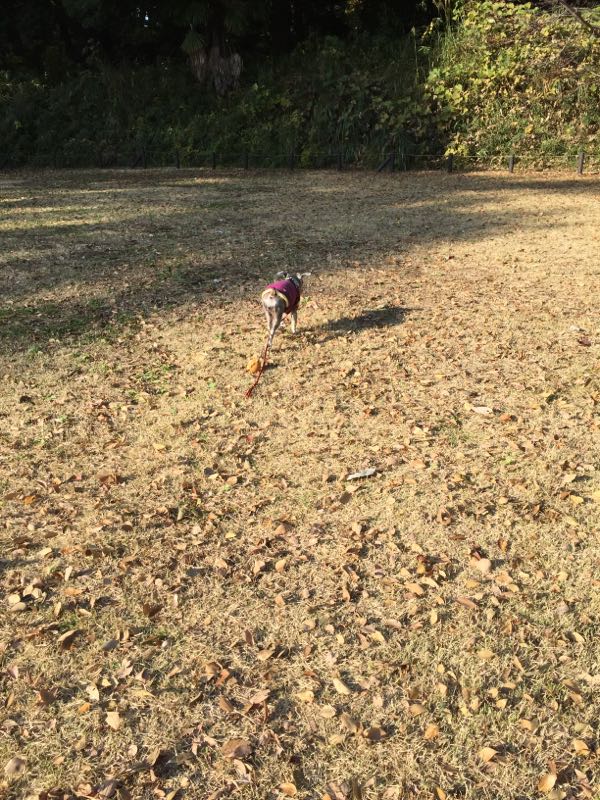 rblog-20161119011108-01.jpg