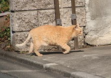 IMG_2128-22.jpg
