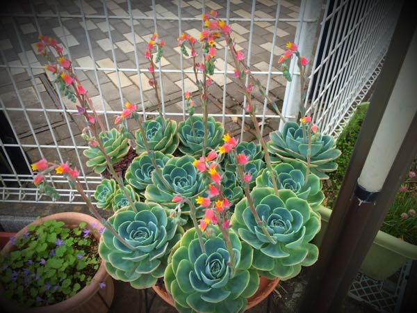 rblog-20160528225139-05.jpg