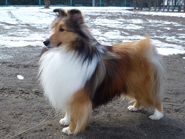 P1000030 - コピー.JPG