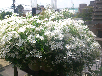 rblog-20130420165234-01.png