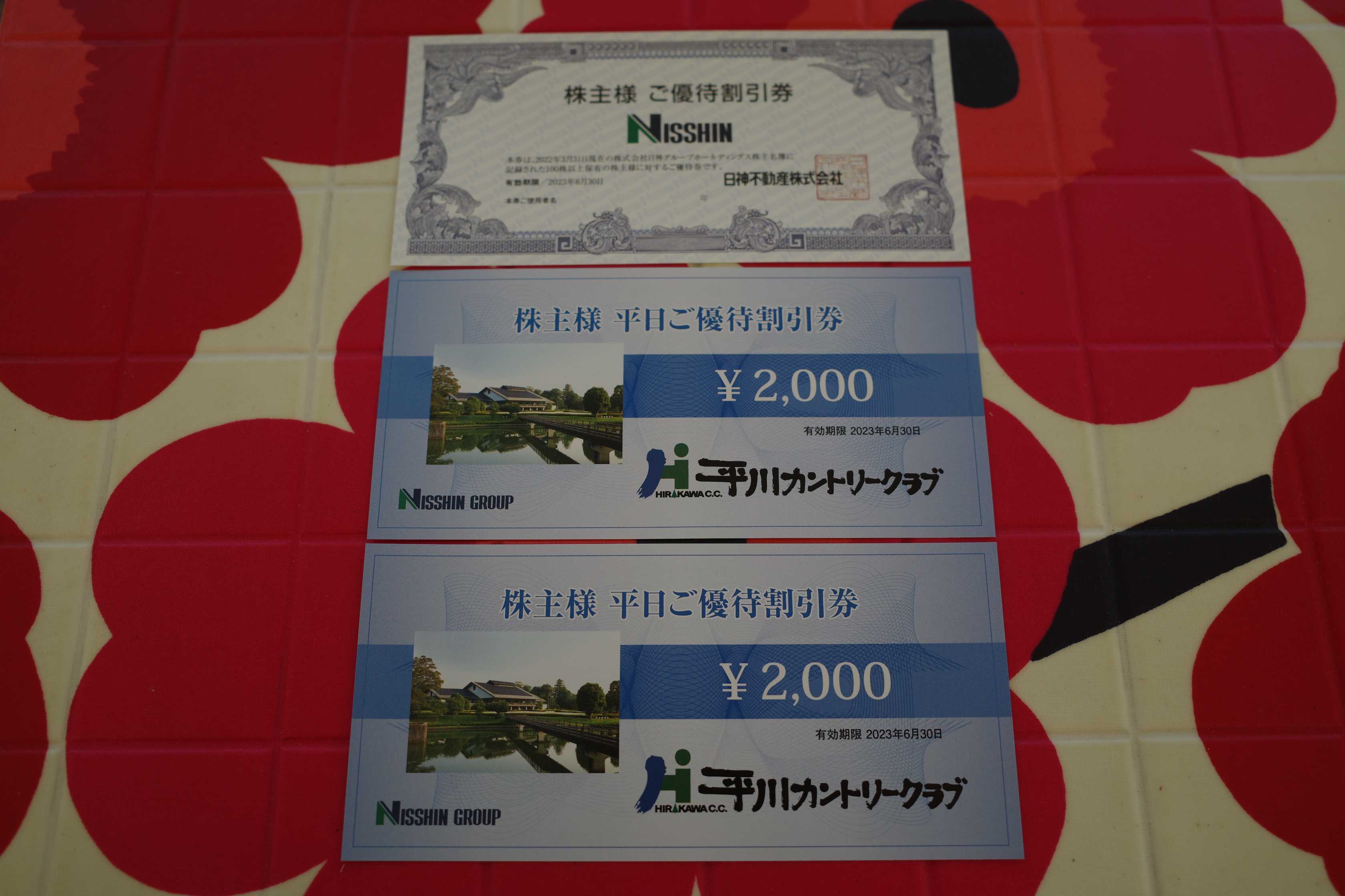 2021～23PF概況190位、日神グループホールディングス。 | みきまるの優待バリュー株日誌 - 楽天ブログ