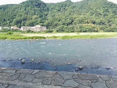 相模川自然の村公園 上大島キャンプ場 神奈川県相模原市 うーちゃんのアウトドア備忘録 楽天ブログ