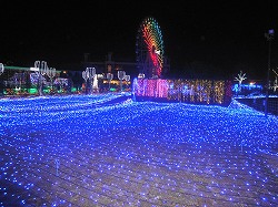DSC05203.jpg