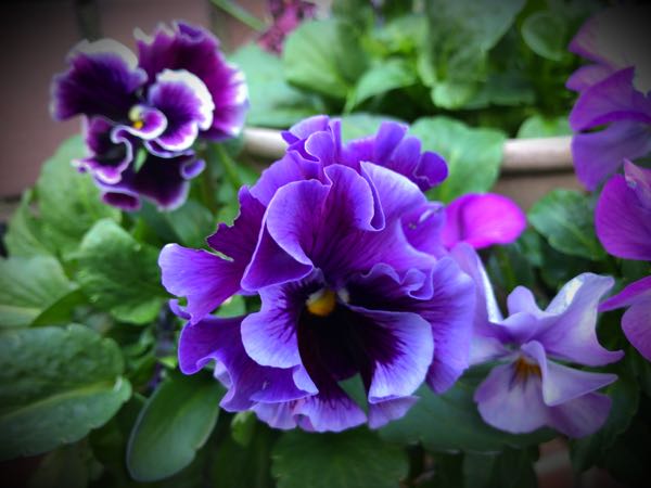 rblog-20161231164110-00.jpg