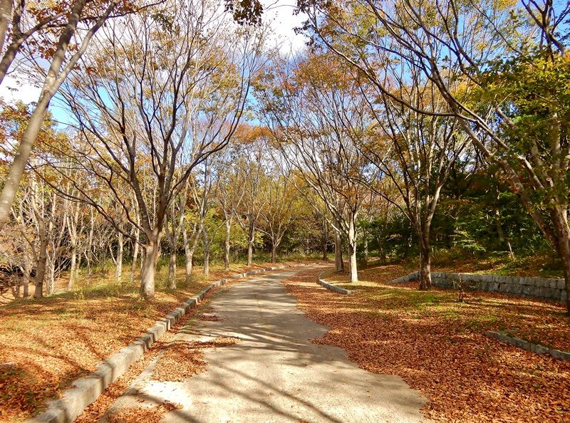 外周路6