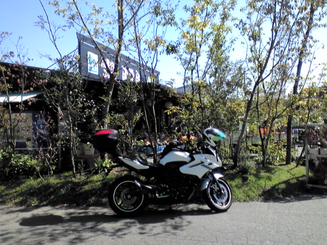 F1020016.JPG