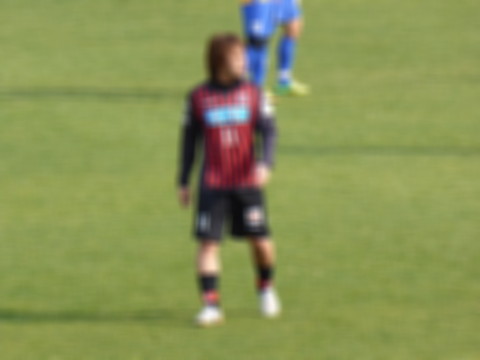 P1130762.jpg