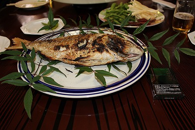 IMG_2674.jpg