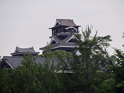 IMG_3661.jpg