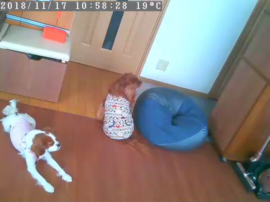 rblog-20181117145648-03.jpg