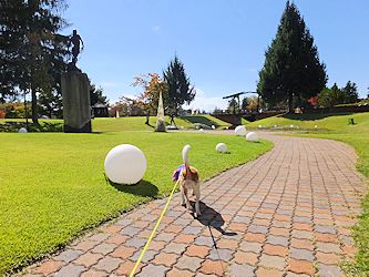 20171009彫刻公園