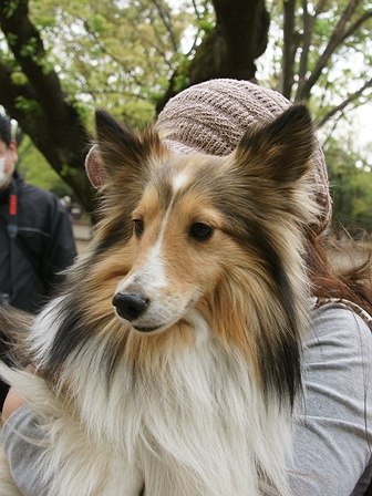 DSC07411.jpg