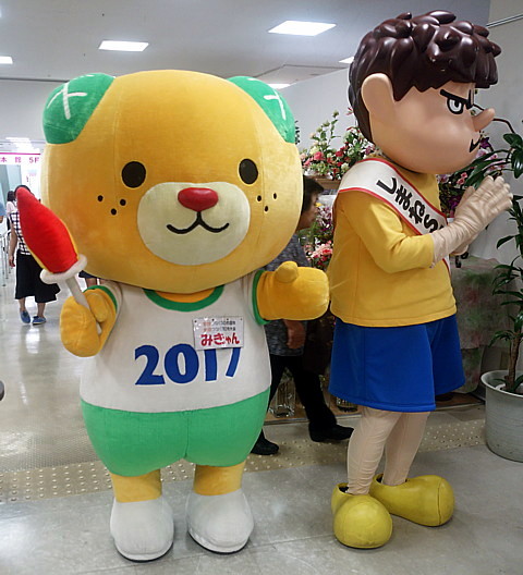 IMG_20160911_130518.jpg