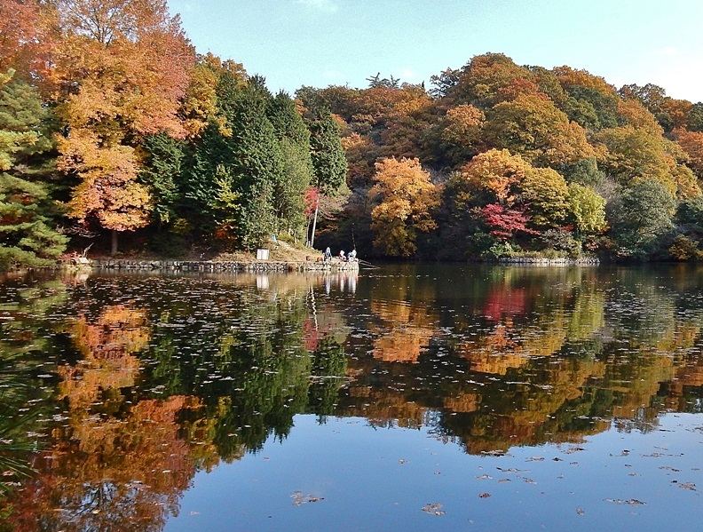 鳥小屋3.JPG