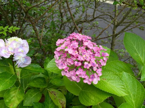 rblog-20160629201706-06.jpg