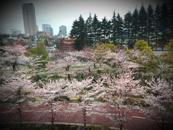 rblog-20160401182457-01.jpg