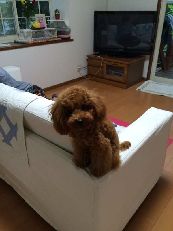 rblog-20150815235227-01.jpg