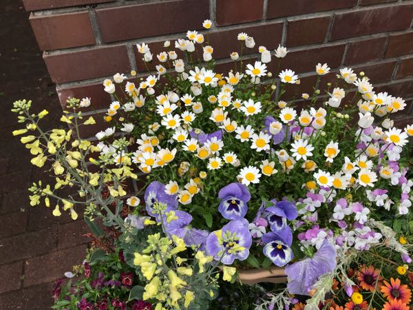 rblog-20190426181100-01.jpg