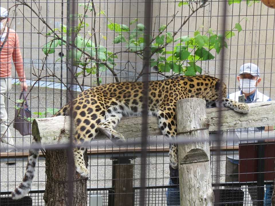 生物学 政治 現代史 進化生物学 人類学 考古学 旅行 映画 メディアなどのブログ 楽天ブログ