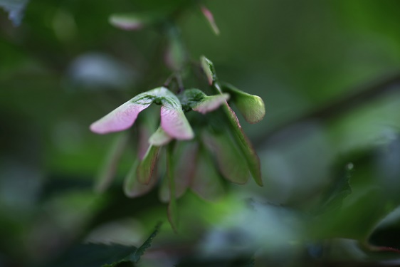IMG_3927.JPG