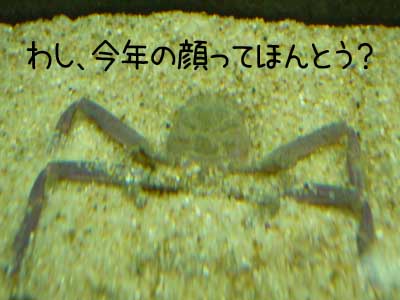 水７.JPG