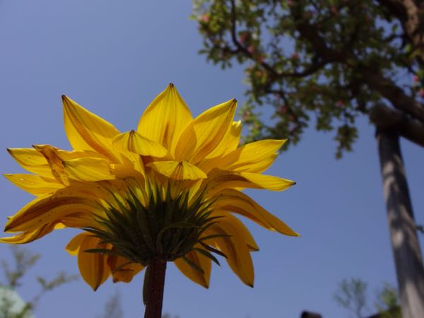 rblog-20150423223642-04.jpg