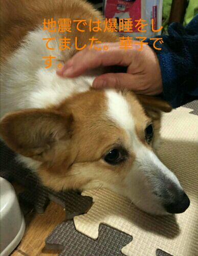 rblog-20160505171829-00.jpg