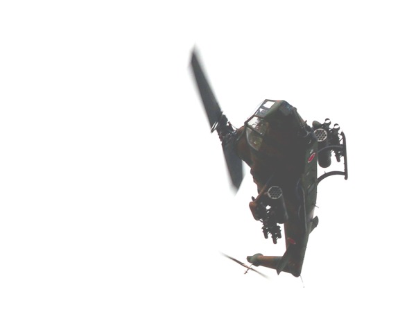 IMG_6217アクロ.jpg