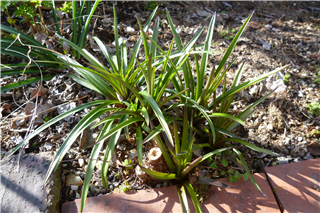 P1040638.png