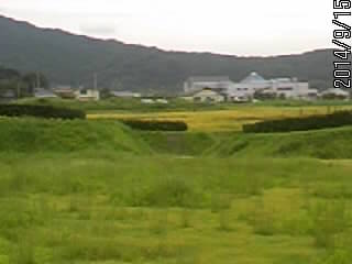 復元虎口