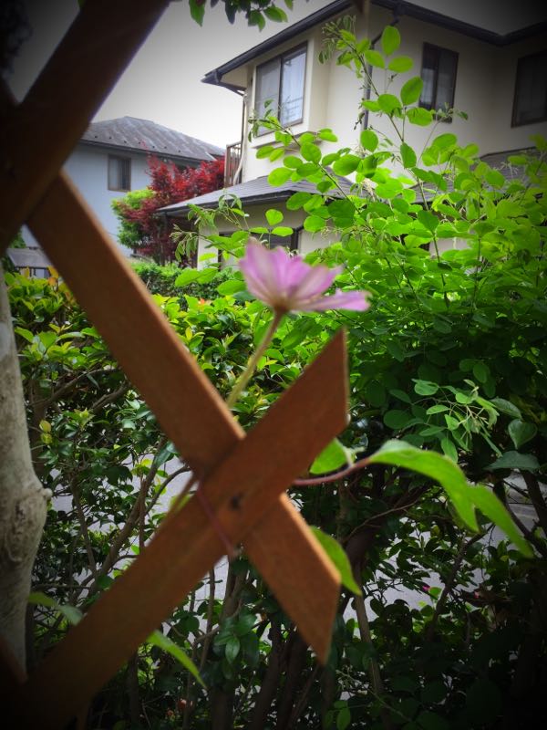 rblog-20150528193940-04.jpg