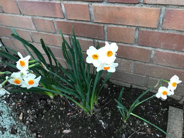 rblog-20180325184811-09.jpg