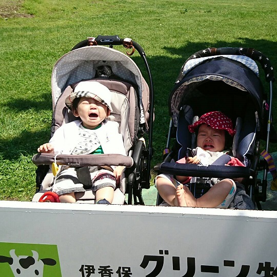 IMG_20170605_093558_306なく.jpg