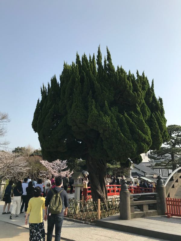 rblog-20180329185006-09.jpg