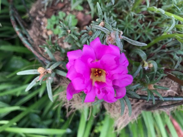 rblog-20180628171900-07.jpg