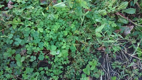 rblog-20160901005708-01.jpg