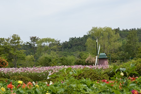 DSC_0009.JPG