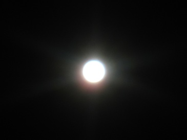 IMG_9635.JPG