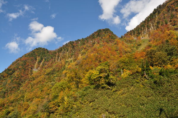 称名滝の紅葉