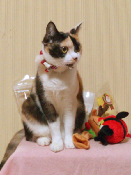 ミー9歳4.jpg