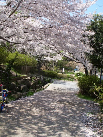 DSCN3829.jpg