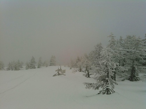 20150225後烏帽子岳下山.jpg