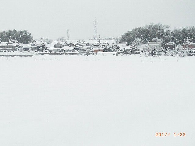 雪景色