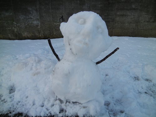 近くの雪景色＆ノエル