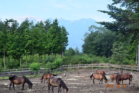 DSC_0422.jpg