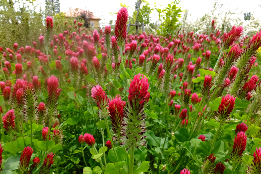 DSCF4605.jpg